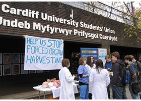 Image for article Cardiff University, Wales: Amnesty International Condemns Organ Harvesting Atrocities in China